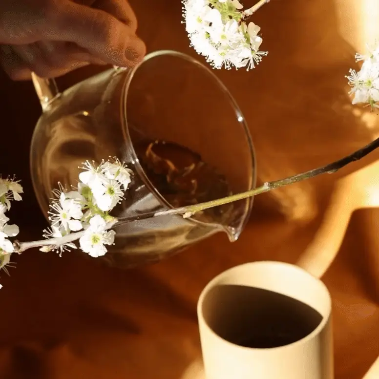 Lymph Glow Tea - Image 4