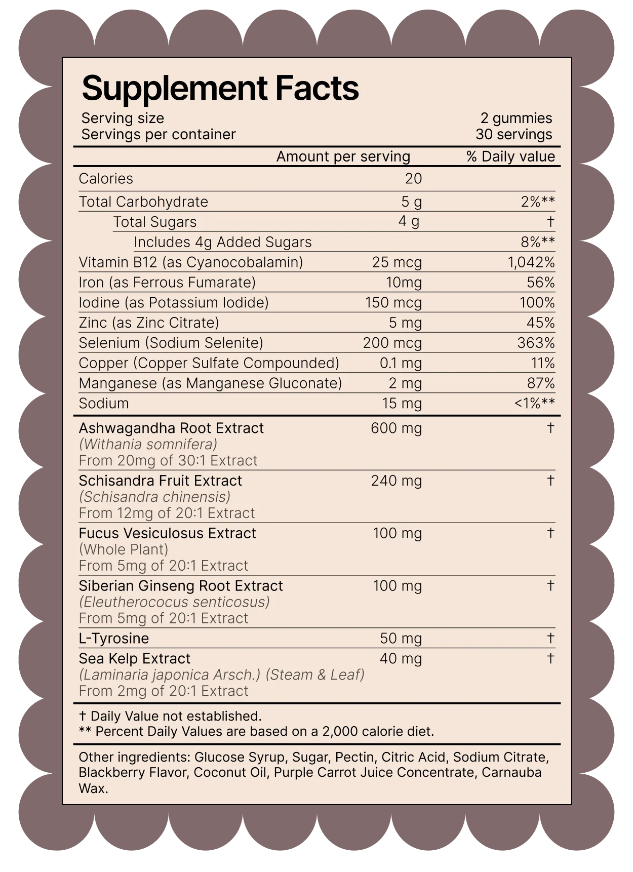 Menopause Support Kit - Image 2