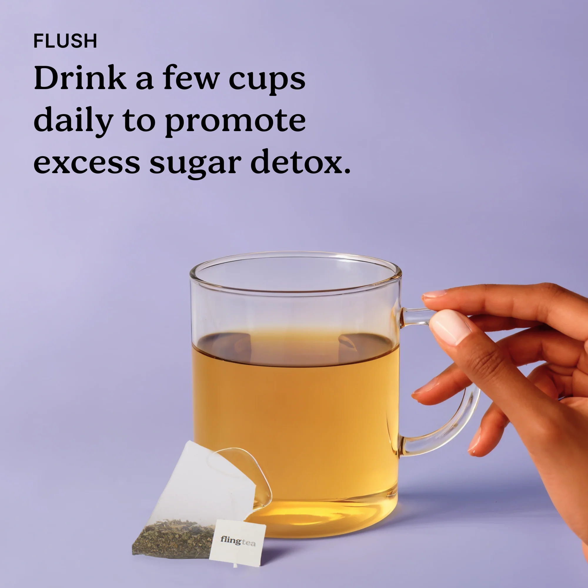 Sugar Guard Kit - Image 4