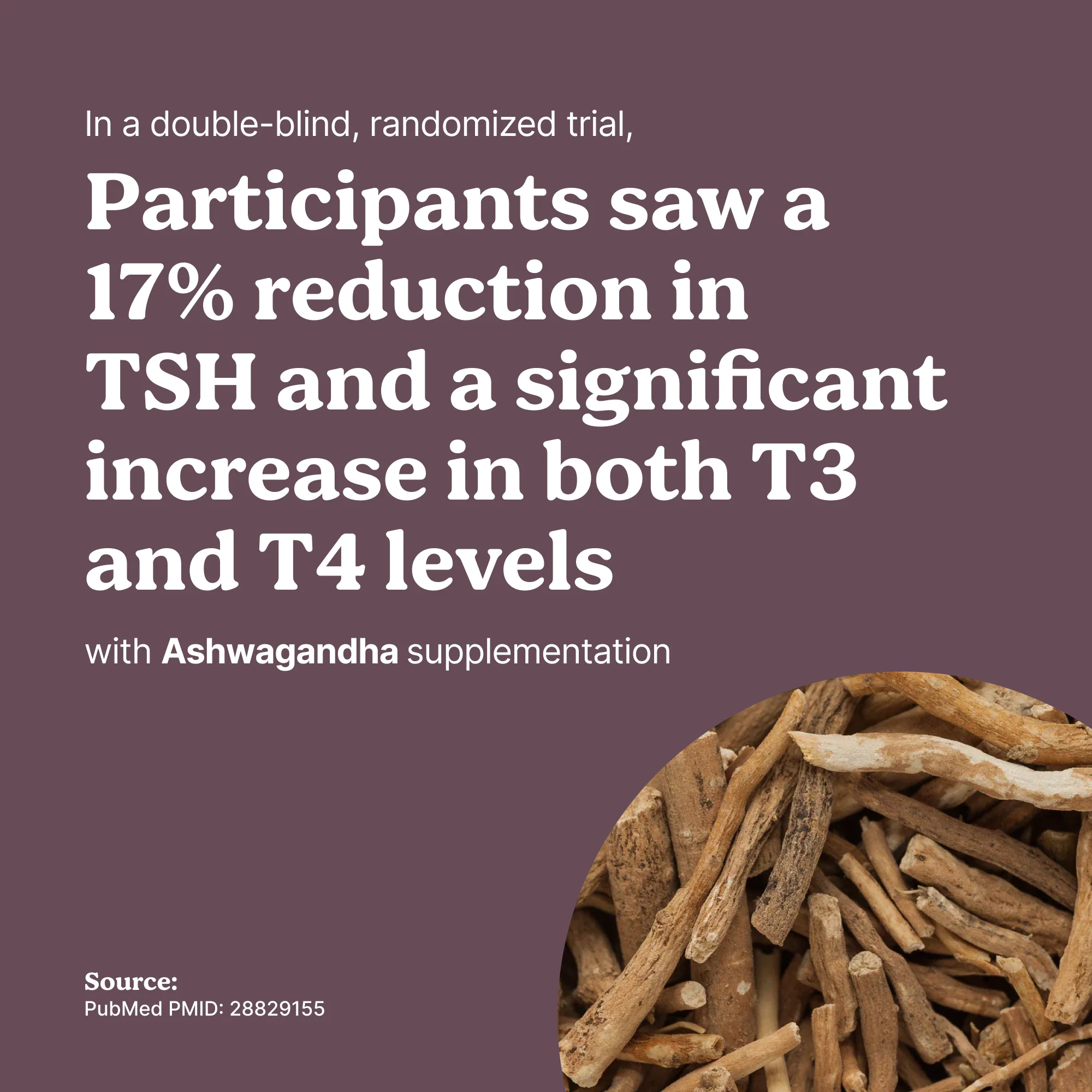 Thyroid Power - Image 2